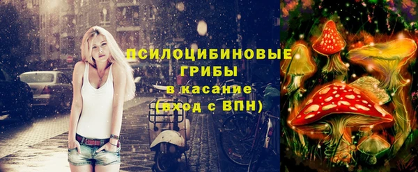 apvp Богородицк