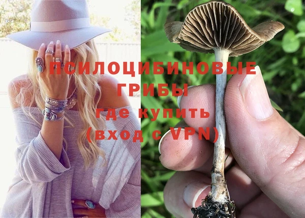наркотики Богданович